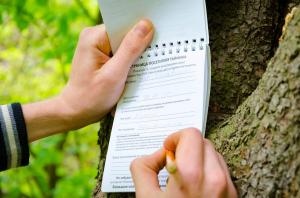 Калуга и область