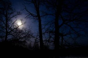 Навля и район